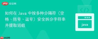 如何在 Java 中按多种分隔符（空格、括号、逗号）安全拆分字符串并提取词组