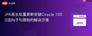 JPA原生批量更新突破Oracle 1000项IN子句限制的解决方案
