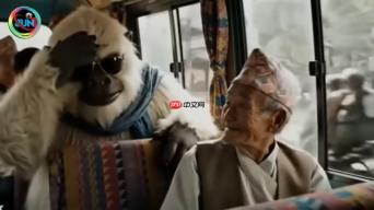 探索尼泊尔：雪怪的奇妙旅程和文化体验