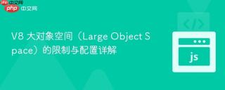 V8 大对象空间（Large Object Space）的限制与配置详解