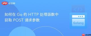 如何在 Go 的 HTTP 处理函数中获取 POST 请求参数