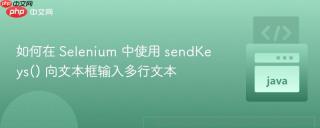 如何在 Selenium 中使用 sendKeys() 向文本框输入多行文本