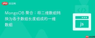 MongoDB 聚合:将二维数组转换为各子数组长度组成的一维数组