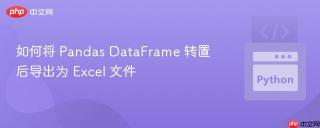 如何将 Pandas DataFrame 转置后导出为 Excel 文件