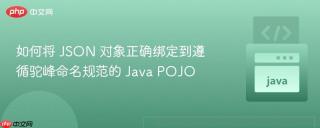 如何将 JSON 对象正确绑定到遵循驼峰命名规范的 Java POJO