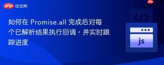 如何在 Promise.all 完成后对每个已解析结果执行回调,并实时跟踪进度
