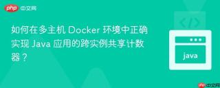 如何在多主机 Docker 环境中正确实现 Java 应用的跨实例共享计数器?