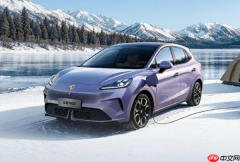 2025印度汽车品牌销售额一览 MG、比亚迪位列前十五