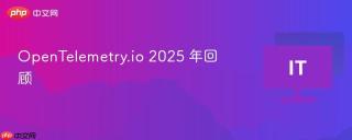 OpenTelemetry.io 2025 年回顾