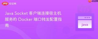 Java Socket 客户端连接宿主机服务的 Docker 端口转发配置指南