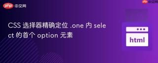 CSS 选择器精确定位 .one 内 select 的首个 option 元素