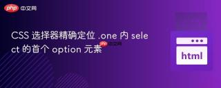CSS 选择器精确定位 .one 内 select 的首个 option 元素