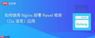 如何使用 Nginx 部署 Revel 框架（Go 语言）应用