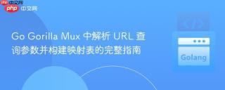 Go Gorilla Mux 中解析 URL 查询参数并构建映射表的完整指南