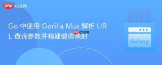 Go 中使用 Gorilla Mux 解析 URL 查询参数并构建键值映射