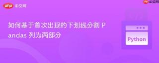 如何基于首次出现的下划线分割 Pandas 列为两部分