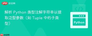 解析 Python 类型注解字符串以提取泛型参数（如 Tuple 中的子类型）