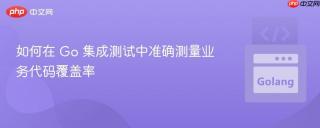 如何在 Go 集成测试中准确测量业务代码覆盖率