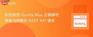 如何使用 Gorilla Mux 正确解析带查询参数的 REST API 请求