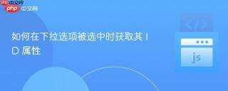 如何在下拉选项被选中时获取其 ID 属性
