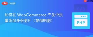 如何在 WooCommerce 产品中批量添加多张图片（非缩略图）