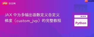 JAX 中为多输出函数定义自定义梯度（custom_jvp）的完整教程