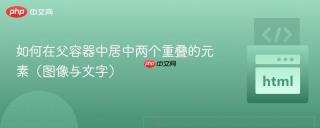 如何在父容器中居中两个重叠的元素（图像与文字）
