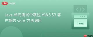 Java 单元测试中跳过 AWS S3 客户端的 void 方法调用