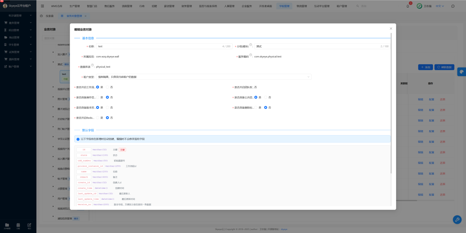 Skyeye 云零代码智能制造系统 - 工单 模块 - Saas v3.18.5 发布