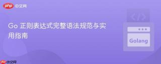 Go 正则表达式完整语法规范与实用指南