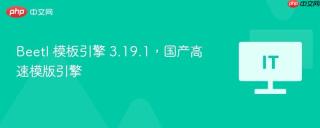 Beetl 模板引擎 3.19.1，国产高速模版引擎