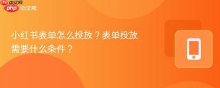 小红书表单怎么投放？表单投放需要什么条件？