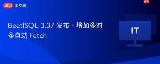 BeetlSQL 3.37 发布，增加多对多自动 Fetch