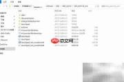 Data Studio 4.1.3 客户端下载