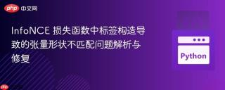 InfoNCE 损失函数中标签构造导致的张量形状不匹配问题解析与修复