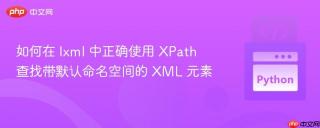 如何在 lxml 中正确使用 XPath 查找带默认命名空间的 XML 元素