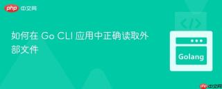 如何在 Go CLI 应用中正确读取外部文件