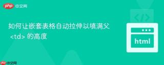 如何让嵌套表格自动拉伸以填满父 <td> 的高度
