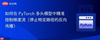 如何在 PyTorch 多头模型中精准控制梯度流（停止特定路径的反向传播）