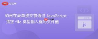 如何在表单提交前通过 JavaScript 清空 file 类型输入框的文件值