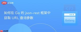 如何在 Go 的 json-rest 框架中获取 URL 查询参数