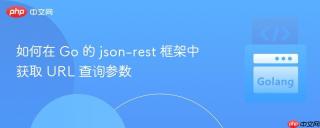 如何在 Go 的 json-rest 框架中获取 URL 查询参数