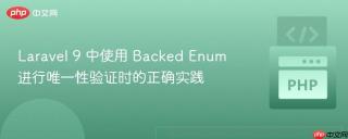 Laravel 9 中使用 Backed Enum 进行唯一性验证时的正确实践