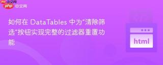如何在 DataTables 中为“清除筛选”按钮实现完整的过滤器重置功能