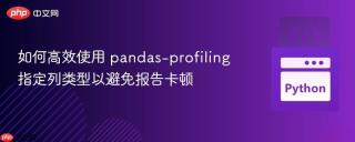如何高效使用 pandas-profiling 指定列类型以避免报告卡顿