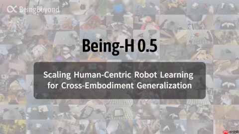 Being-H0.5— 卢宗青团队开源的通用机器人模型