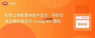 如何让导航菜单居中显示，同时在其右侧并排显示 Instagram 图标
