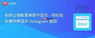 如何让导航菜单居中显示，同时在右侧并排显示 Instagram 图标