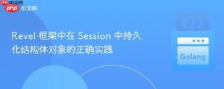 Revel 框架中在 Session 中持久化结构体对象的正确实践