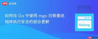 如何在 Go 中使用 mgo 对嵌套结构体执行安全的部分更新